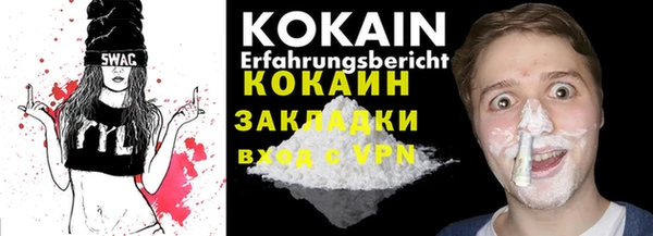сатива Осинники