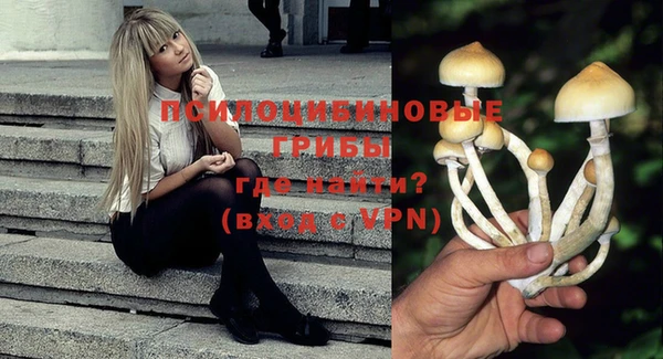 сатива Осинники