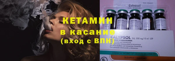 сатива Осинники