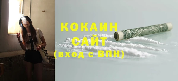 сатива Осинники