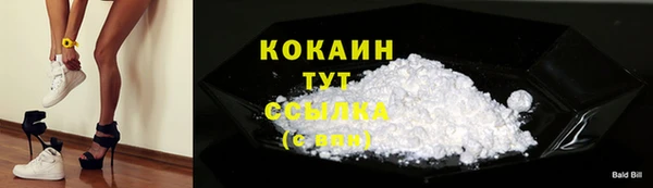 сатива Осинники