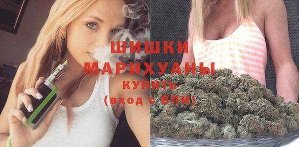 гашик Осташков