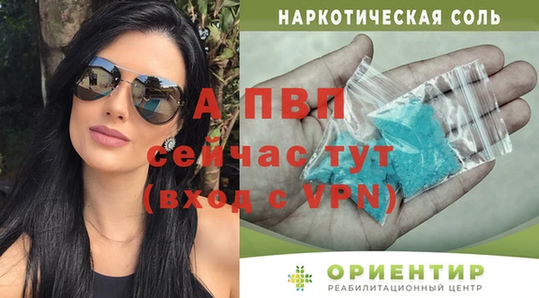 гашик Осташков