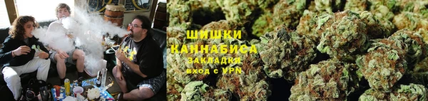 гашик Осташков