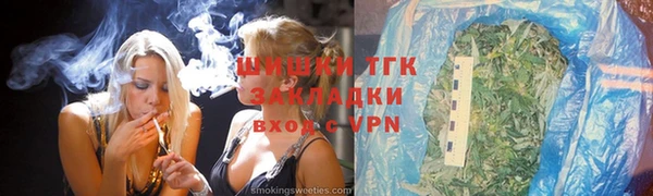 гашик Осташков