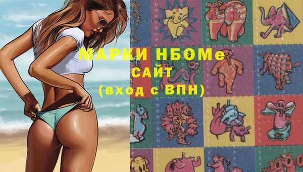 гашик Осташков