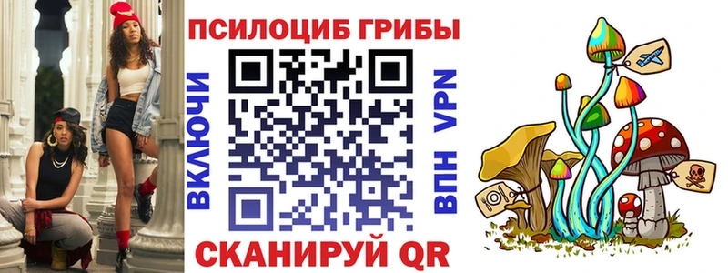 Псилоцибиновые грибы Psilocybe  хочу наркоту  Усть-Катав 